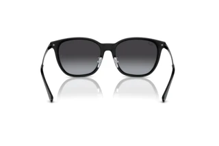 Bagside Ray-Ban RB4333D (601/8G)