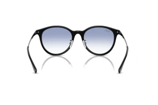 Bagside Ray-Ban RB4334D (601/19)