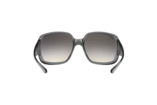 Bagside Ray-Ban POWDERHORN (RB4347 - 653011)