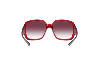 Bagside Ray-Ban POWDERHORN (RB4347 - 66628H)