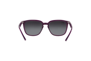 Bagside Ray-Ban RB4362 (65718G)