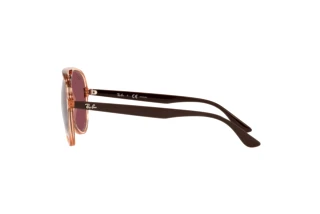 Sidevisning Ray-Ban RB4376 (66025Q)