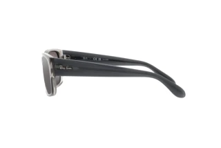 Sidevisning Ray-Ban RB4388 (6647G3)