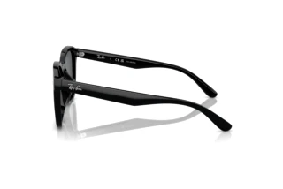 Sidevisning Ray-Ban RB4392D (601/81)