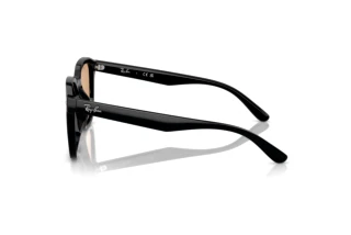 Sidevisning Ray-Ban RB4392D (601/93)