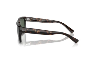 Sidevisning Ray-Ban WARREN (RB4396 - 135971)