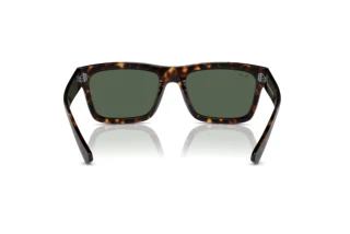 Bagside Ray-Ban WARREN (RB4396 - 135971)