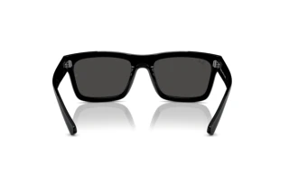 Bagside Ray-Ban WARREN (RB4396 - 667787)