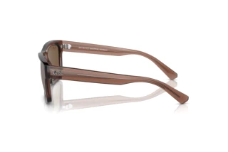 Sidevisning Ray-Ban WARREN (RB4396 - 667873)