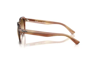 Sidevisning Ray-Ban ERIK (RB4398 - 140351)