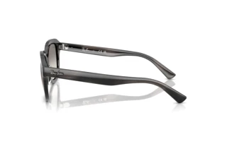 Sidevisning Ray-Ban ERIK (RB4398 - 140432)