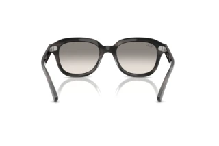 Bagside Ray-Ban ERIK (RB4398 - 140432)