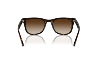 Bagside Ray-Ban RB4420 (710/13)