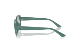 Sidevisning Ray-Ban RB4421D (676287)
