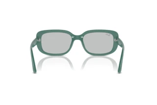 Bagside Ray-Ban RB4421D (676287)
