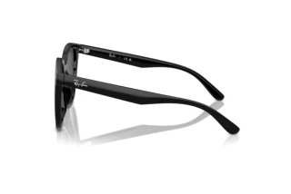 Sidevisning Ray-Ban RB4423D (601/87)