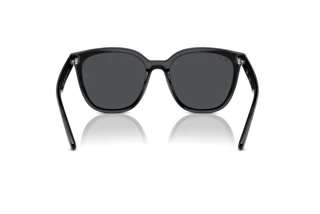 Bagside Ray-Ban RB4423D (601/87)