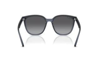 Bagside Ray-Ban RB4423D (6592T3)