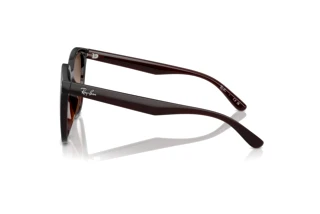 Sidevisning Ray-Ban RB4423D (714/13)