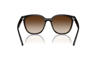 Bagside Ray-Ban RB4423D (714/13)