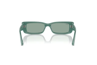 Bagside Ray-Ban TERU (RB4425 - 676282)