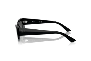 Sidevisning Ray-Ban KAT (RB4427 - 667787)