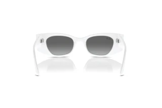 Bagside Ray-Ban KAT (RB4427 - 675911)