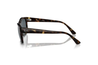 Sidevisning Ray-Ban RB4428 (710/R5)