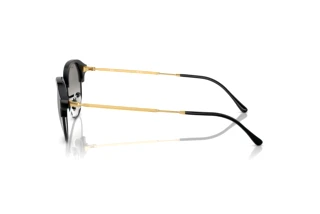 Sidevisning Ray-Ban RB4429 (672332)