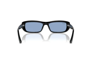 Bagside Ray-Ban RB4436D (667772)