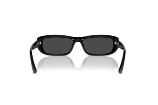 Bagside Ray-Ban RB4436D (667787)