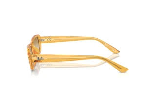 Sidevisning Ray-Ban RB4436D (668213)