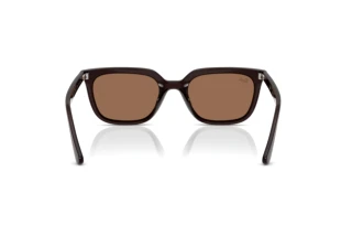 Bagside Ray-Ban RB4439D (623173)