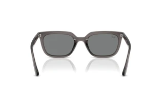 Bagside Ray-Ban RB4439D (667587)