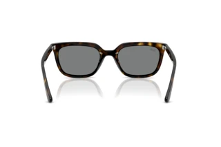 Bagside Ray-Ban RB4439D (710/87)