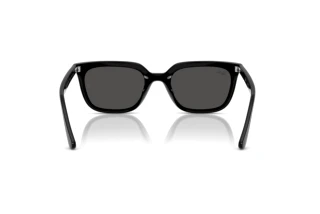 Bagside Ray-Ban RB4439D (901/87)