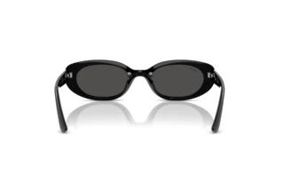 Bagside Ray-Ban RB4441D (667787)