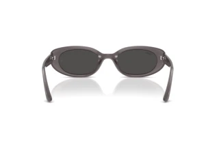 Bagside Ray-Ban RB4441D (677787)