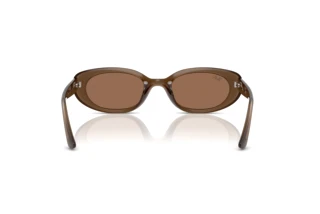Bagside Ray-Ban RB4441D (677973)