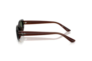 Sidevisning Ray-Ban RB4441D (714/71)