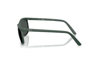 Sidevisning Ray-Ban RB4452 (601687)