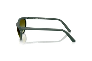 Sidevisning Ray-Ban RB4453 (6016E8)