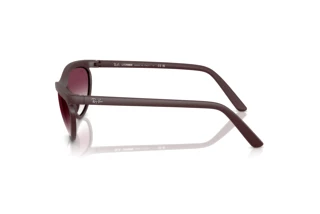 Sidevisning Ray-Ban RB4453 (64458H)