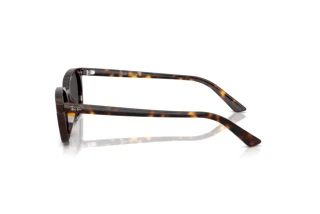 Sidevisning Ray-Ban ZAYA (RB4456 - 135987)