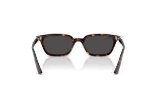 Bagside Ray-Ban ZAYA (RB4456 - 135987)