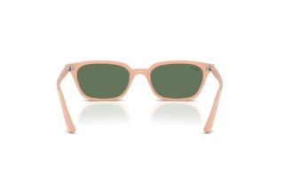 Bagside Ray-Ban ZAYA (RB4456 - 681182)