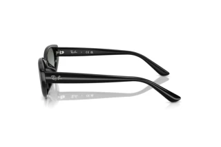 Sidevisning Ray-Ban RB4457D (667711)
