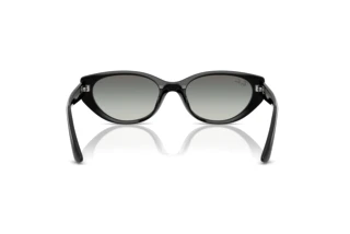 Bagside Ray-Ban RB4457D (667711)