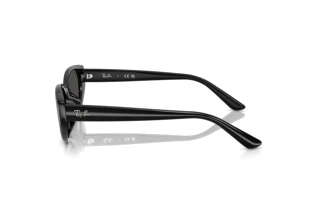 Sidevisning Ray-Ban RB4457D (667787)