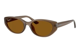 Forfra Ray-Ban RB4457D (677983)